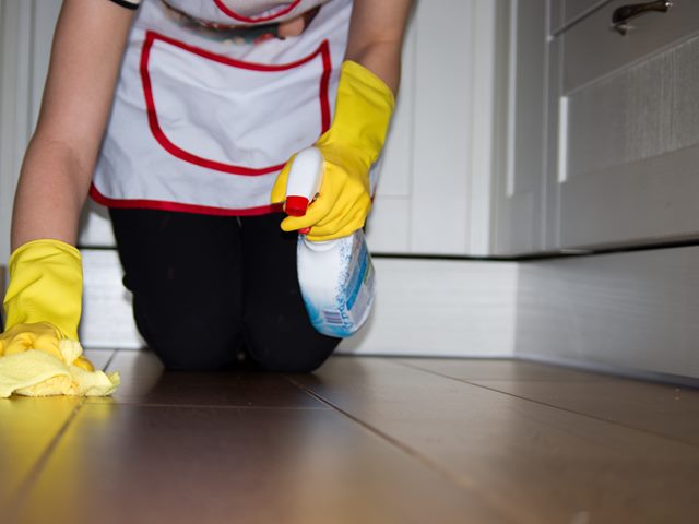 Professional House Cleaning Services